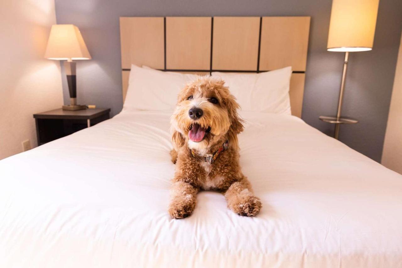 Sonesta Simply Suites Oklahoma City Airport Exteriör bild
